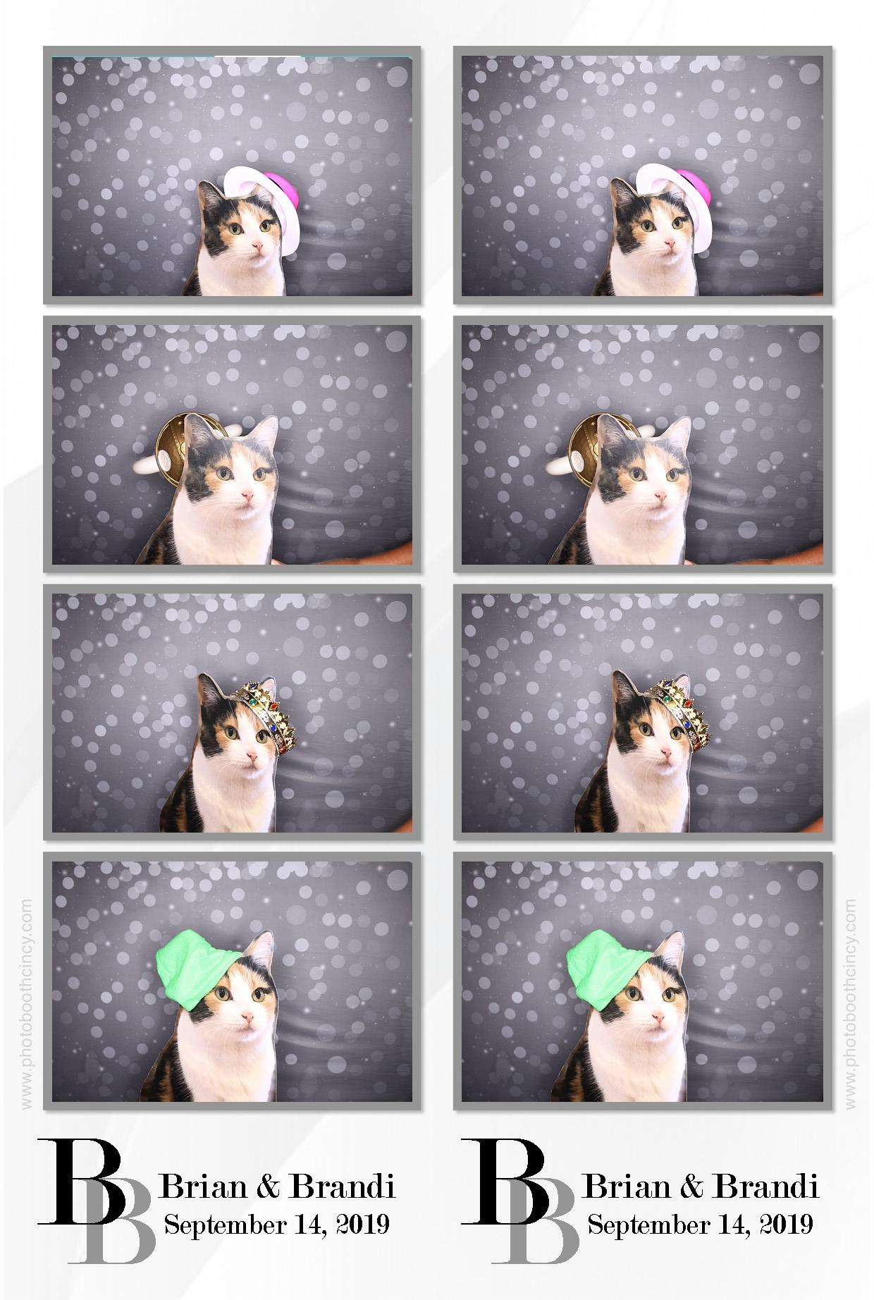 Brian and Brandi’s wedding | View more photos from the event at gallery.photoboothcincy.com/u/PhotoBoothCincy/Brian-and-Brandi’s-wedding